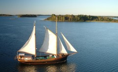 Inga-Lill puupurjevene kutsuu synttäriristeilylle