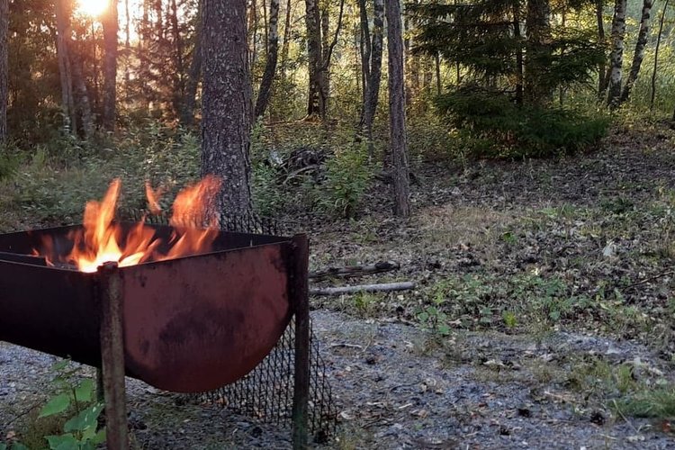 Grillitulet metsässä auringonlaskun aikaan.