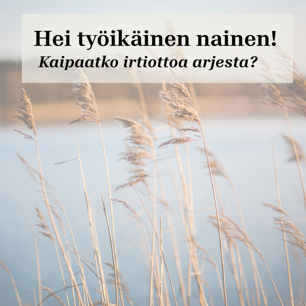 Kuivat heinät huojuvat tuulessa. Taustalla näkyy vettä ja vastaranta.